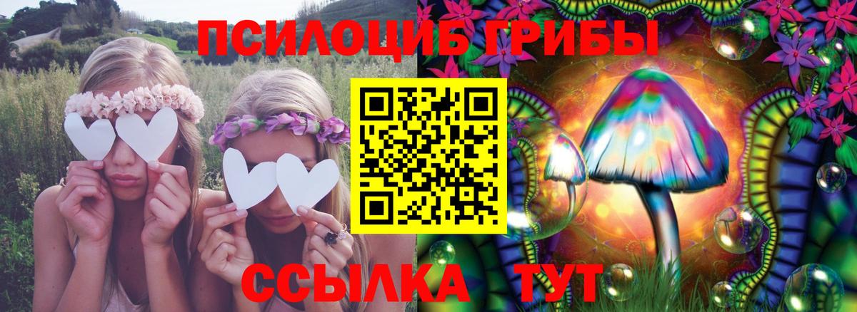 Галлюциногенные грибы Psilocybe Клин